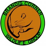 Brandis Corner Wildlife Group Logo