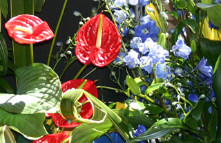 Children's Flower Parade