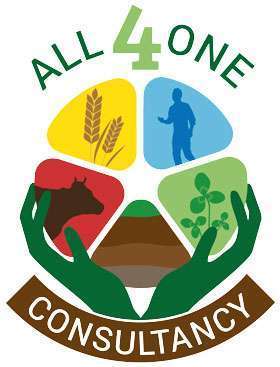 All4OneConsultancy