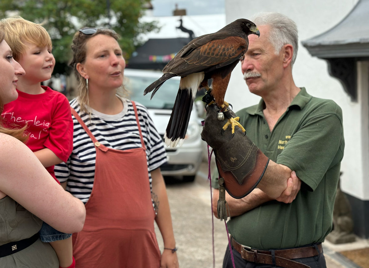 North Devon Hawk Walks Bird of Prey at Hatherleigh Festival