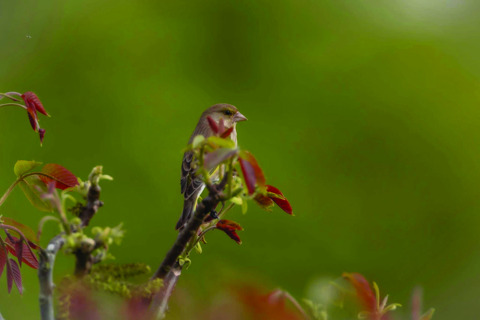 Photograph by Bryony-Herrod Taylor
